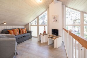 TV, fireplace, DVD player