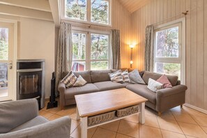 TV, fireplace, DVD player