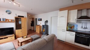 TV, fireplace, DVD player, books