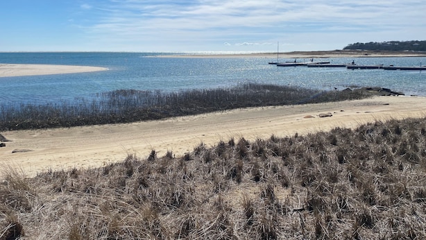 Uma praia com areia, um píer que se estende para a água e céu claro.