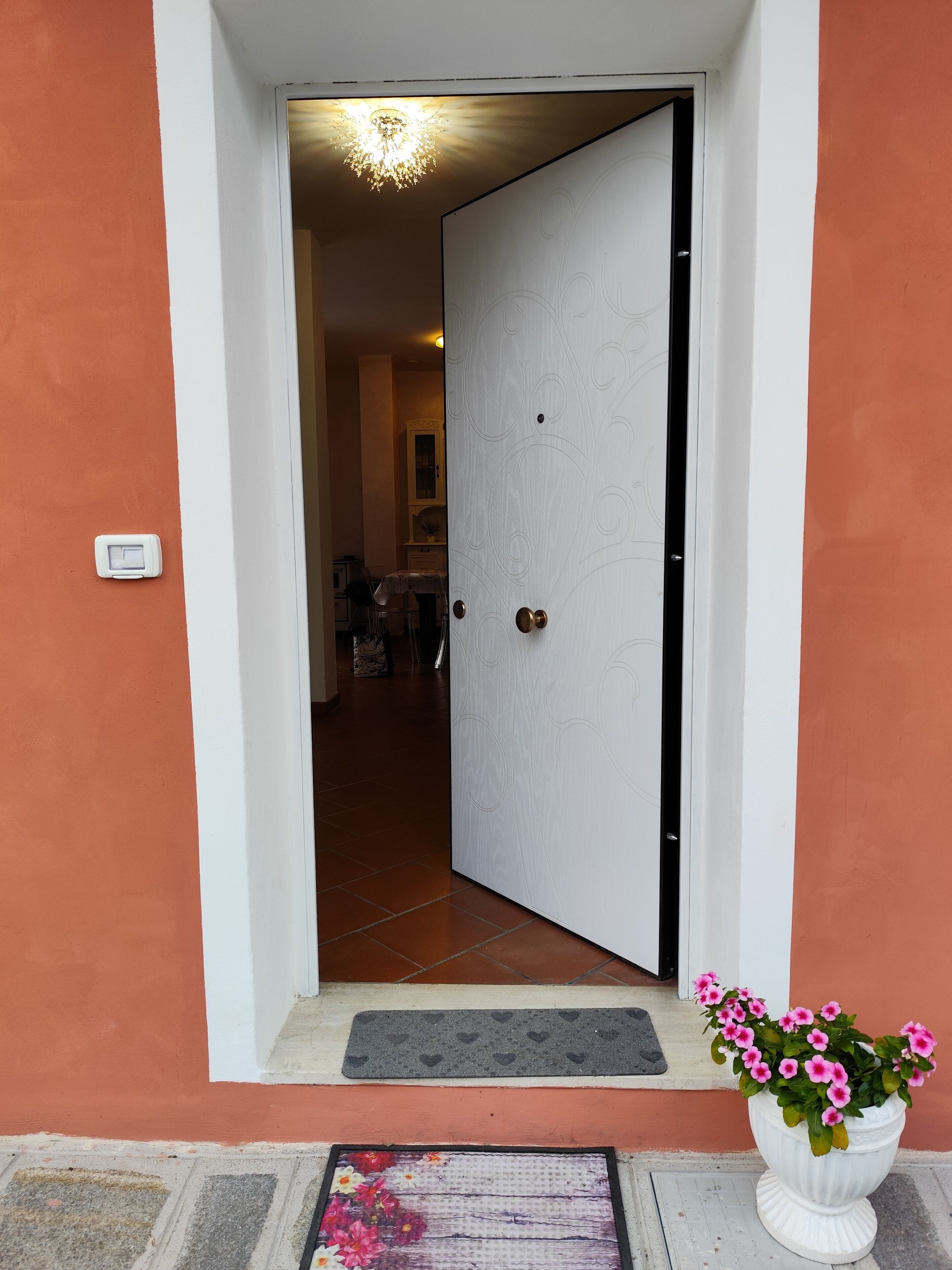 Una puerta blanca con un diseño decorativo, un felpudo y una planta en maceta con flores rosas.