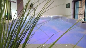 A hot tub with a water feature, surrounded by indoor plants and a modern interior design. - L'Hacienda (Tartas)