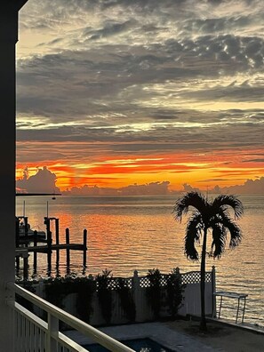 Property grounds - Oceanfront Paradise. New 5br Luxury Home. Hot tub. (Marathon)