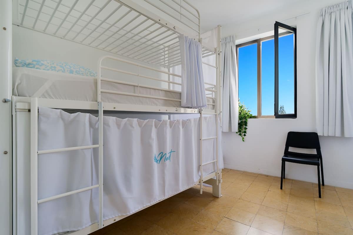 A bunk bed room with a window, a chair, and a plant.