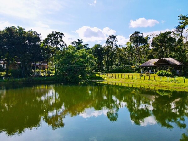 Une vue paisible sur un lac, avec une construction au toit de chaume et une végétation luxuriante.