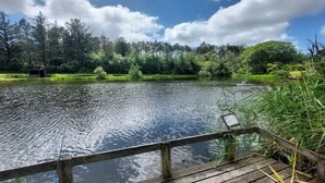 Un moll de fusta que s'estén sobre un llac tranquil amb un bosc al fons.