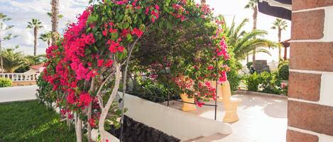 Área da propriedade