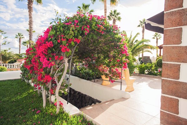 Áreas de la propiedad