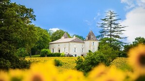 Een groot, historisch gebouw met meerdere torens, omgeven door weelderige begroeiing en een veld vol gele bloemen.
