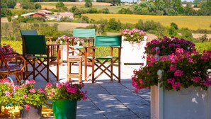 Een terras buiten met houten stoelen en tafels, omgeven door potplanten en bloemen.