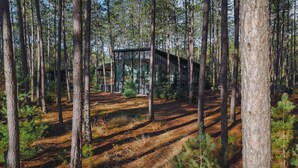 A modern cabin in a forest with a clear view of the surrounding trees and a well-maintained path leading to the entrance. - Brand New Black Fox Cabin (Sprucedale)