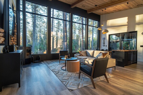 Smart TV, fireplace, books, stereo