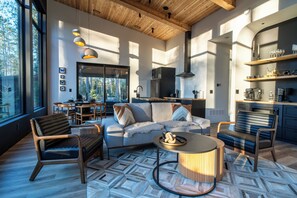 Smart TV, fireplace, books, stereo