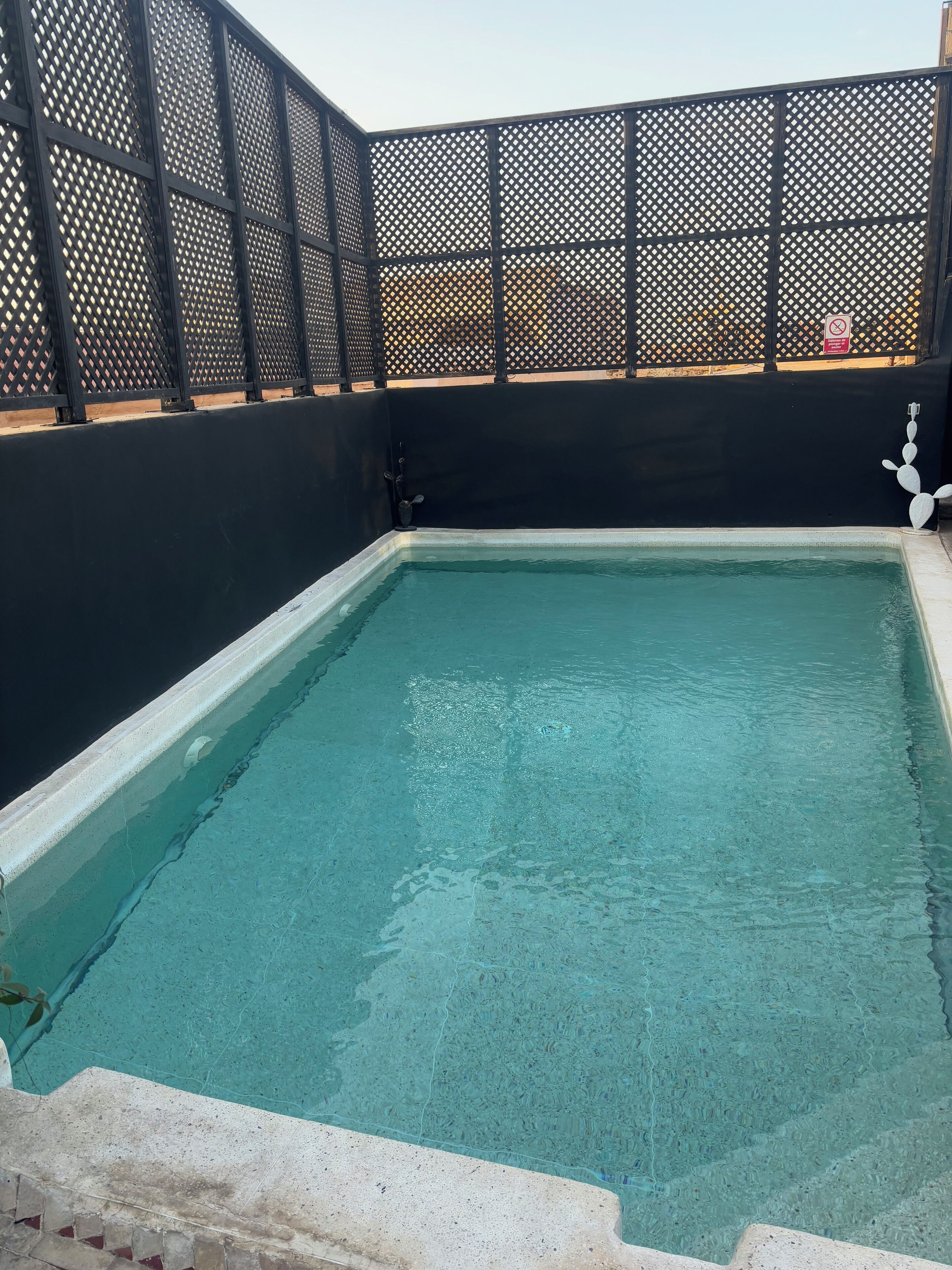 Une piscine rectangulaire à l’eau claire, entourée d’une clôture noire et d’un mur blanc.