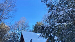 A wooden cabin with a balcony, surrounded by snow-covered trees.