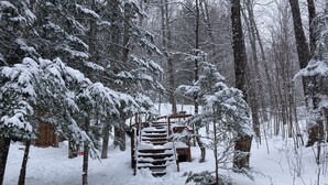 A snow-covered forest path leading to a wooden structure.