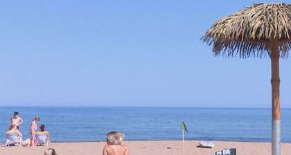 The Singing Salmon of Bonaventure - A wild escape