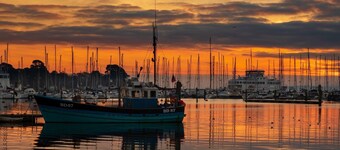 Rhubarb Cottage, stylish home close to Lyndhurst High street & New Forest trails