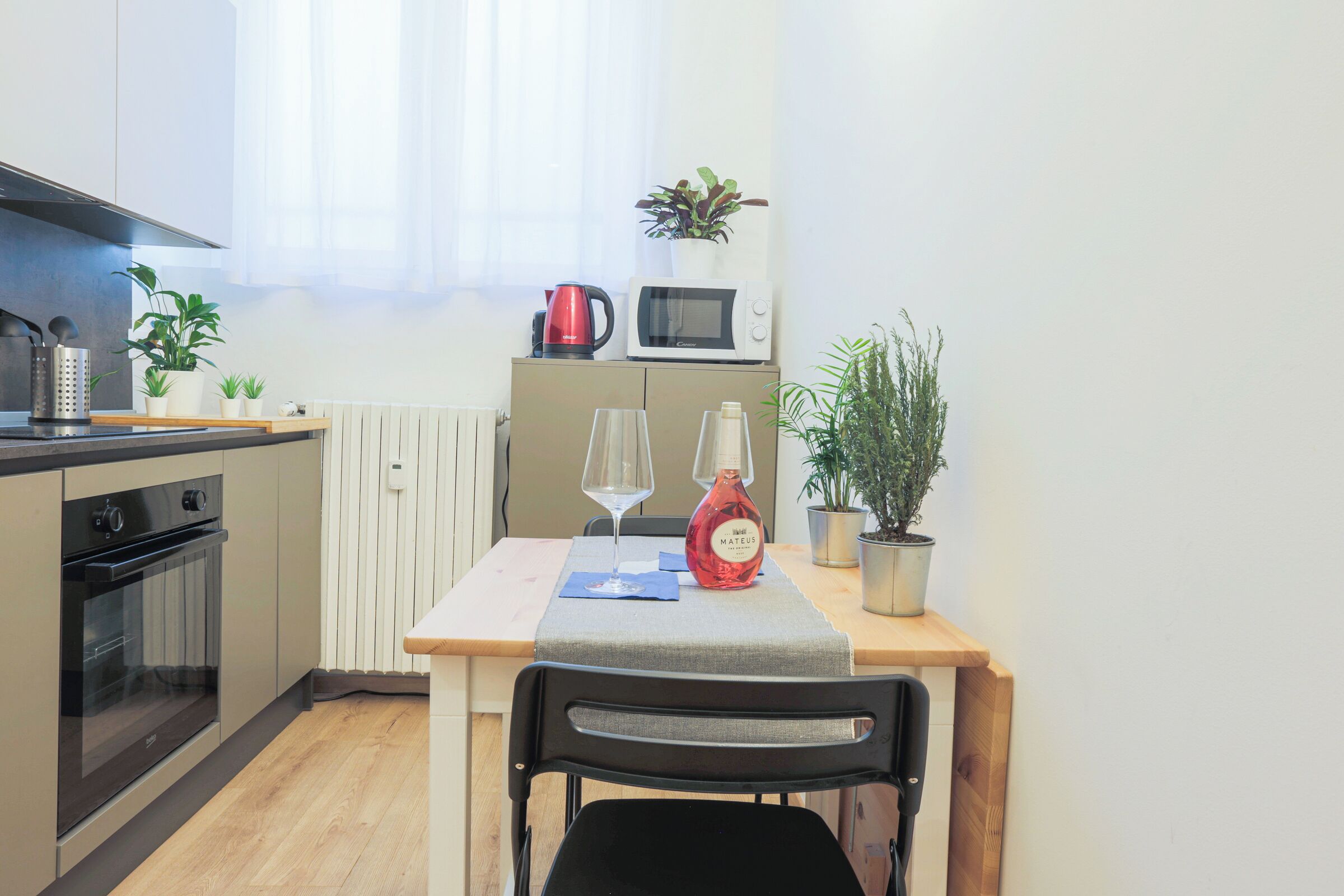 Kühlschrank, Mikrowelle, Ofen, Herdplatte