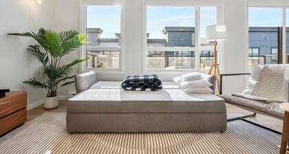 Air Conditioned 2 BR Luxury Suite /w King Bed