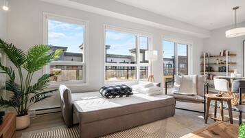 Smart TV, livros, escritórios