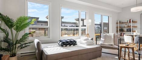 Smart TV, libros, oficina