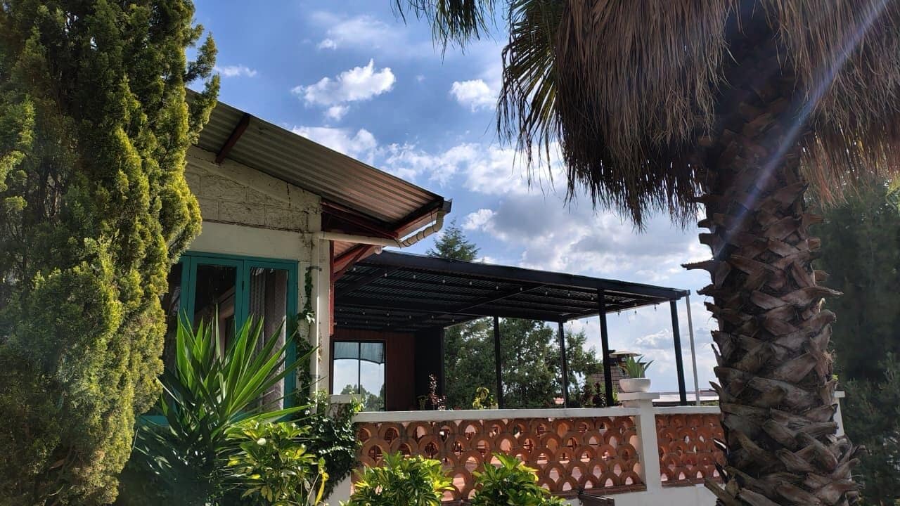 Una casa con porche cubierto, pared de piedra y palmera.