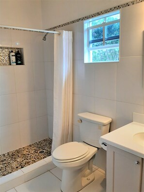 Shower, hair dryer, towels, soap