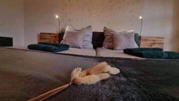 2 slaapkamers, een strijkplank/strijkijzer, wifi, beddengoed