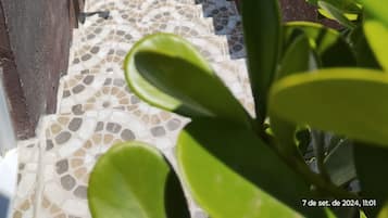 Detalhe da fachada