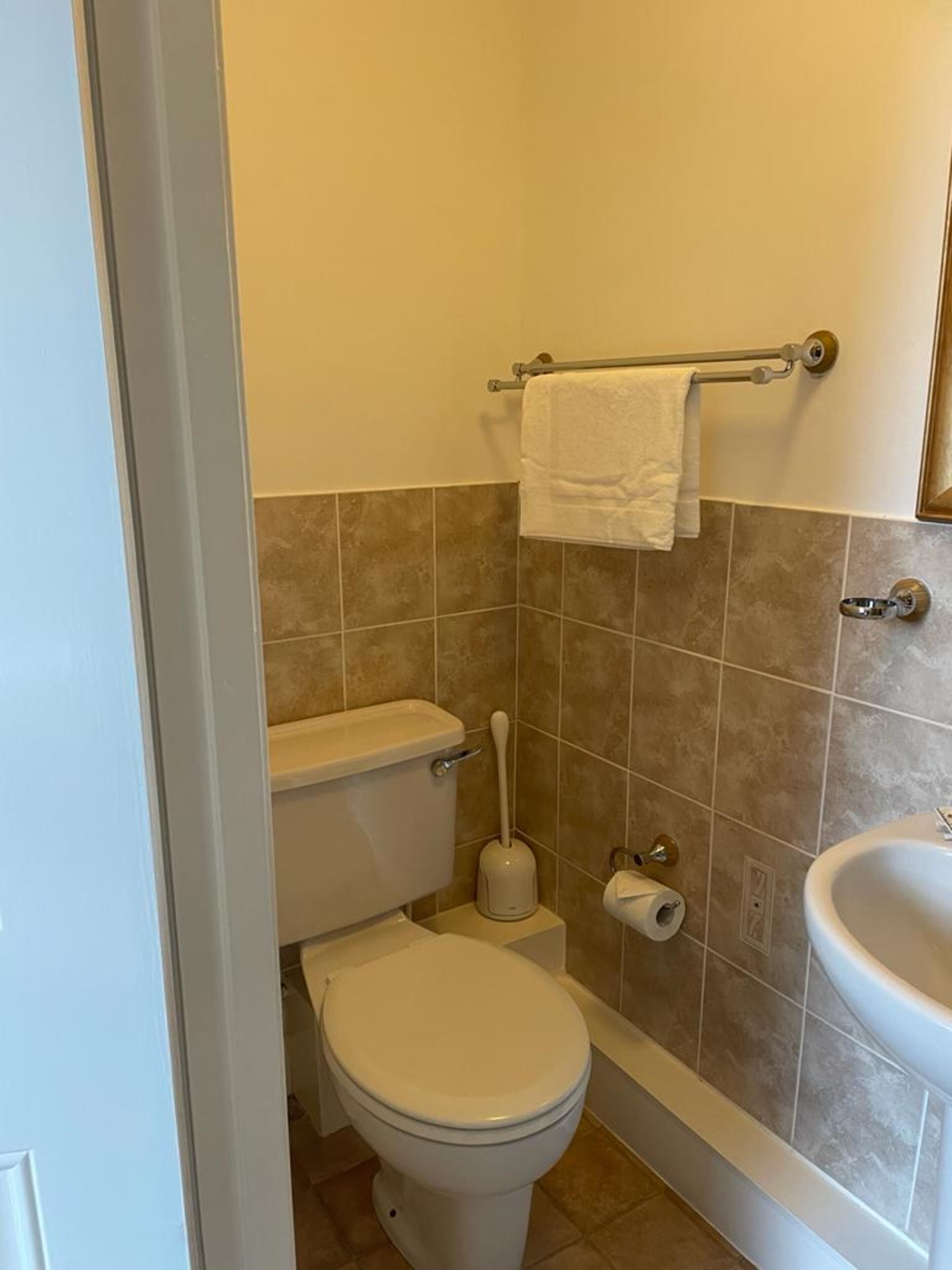 Shower, free toiletries, towels, toilet paper