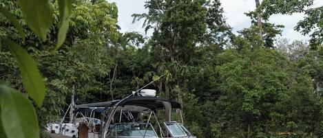 Un bote amarrado en un muelle de madera rodeado de vegetación exuberante.