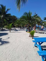 Playa