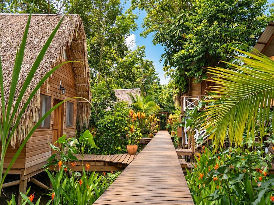 Un sendero de madera conduce a cabañas con techo de paja, rodeadas de exuberante follaje y plantas tropicales.