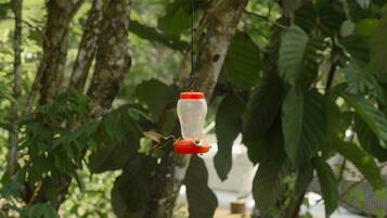 A bird feeder hanging from a tree branch in a garden setting.