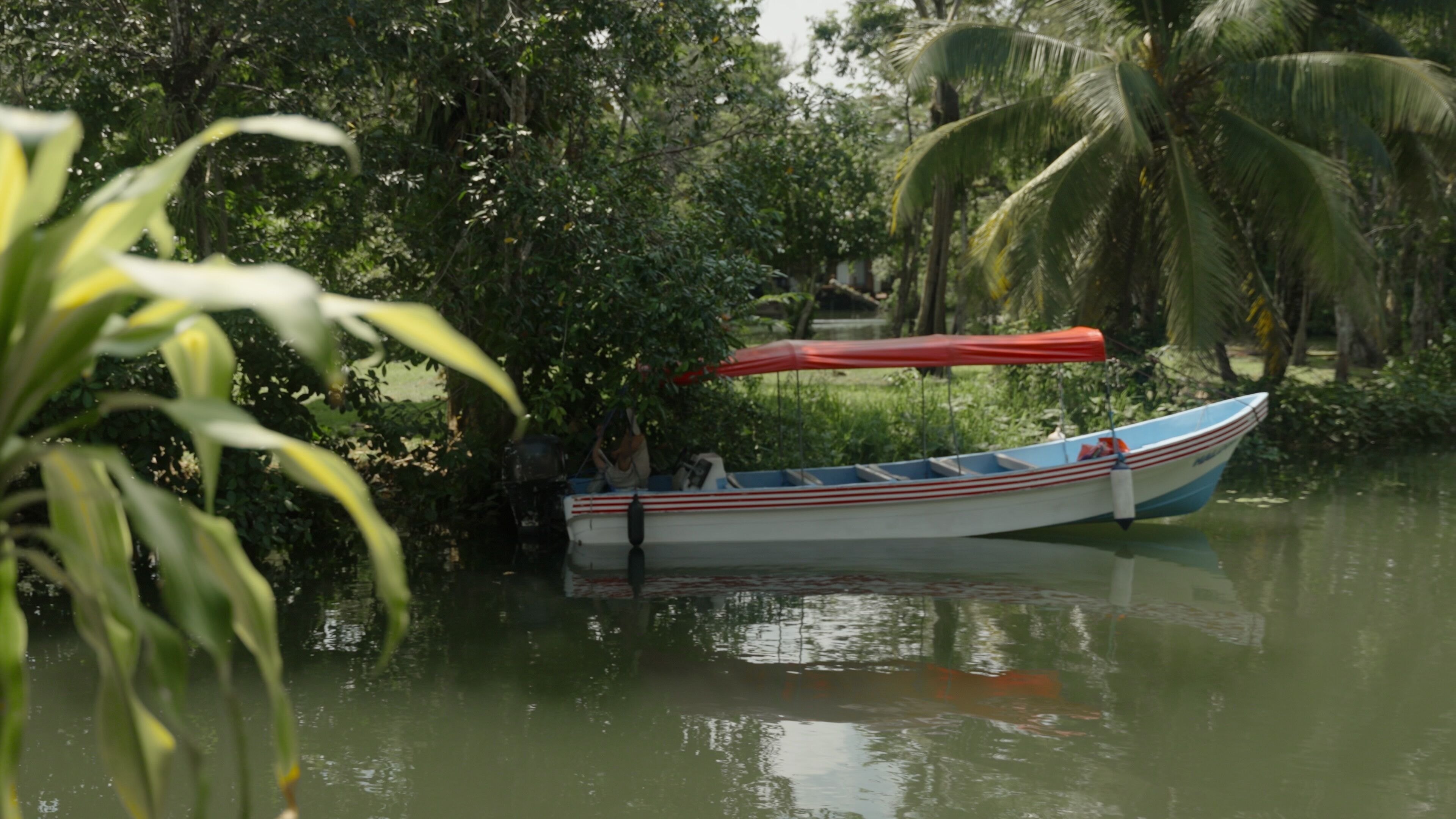 A boat with a red canopy, partially obscured by foliage, on calm water.