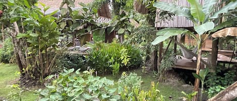 A lush garden with various plants and a wooden structure.