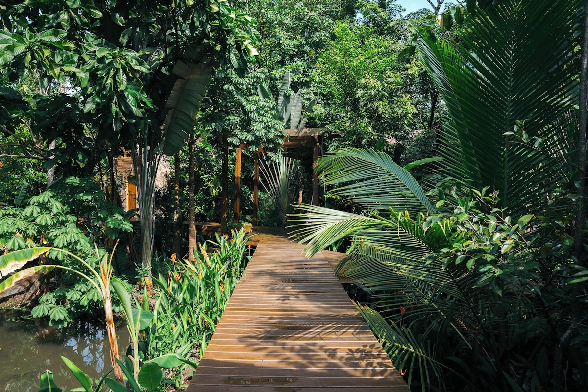 A wooden pathway through a lush garden with dense foliage and a small wooden structure in the distance.