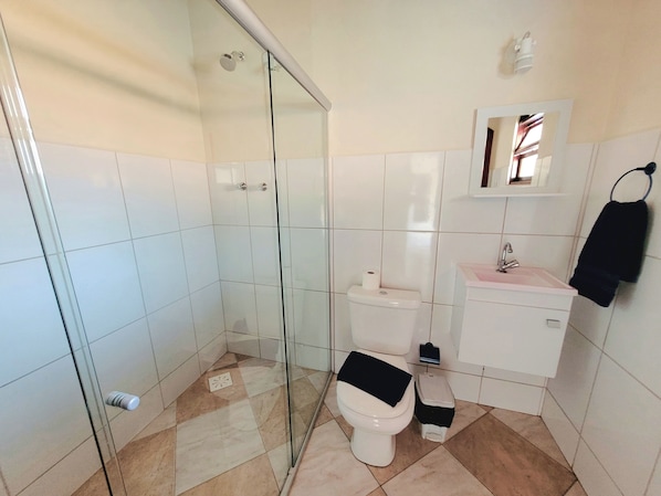 A bathroom with a glass shower enclosure, a toilet, a sink, and a mirror. - Pousada Encantos de Socorro (Socorro)