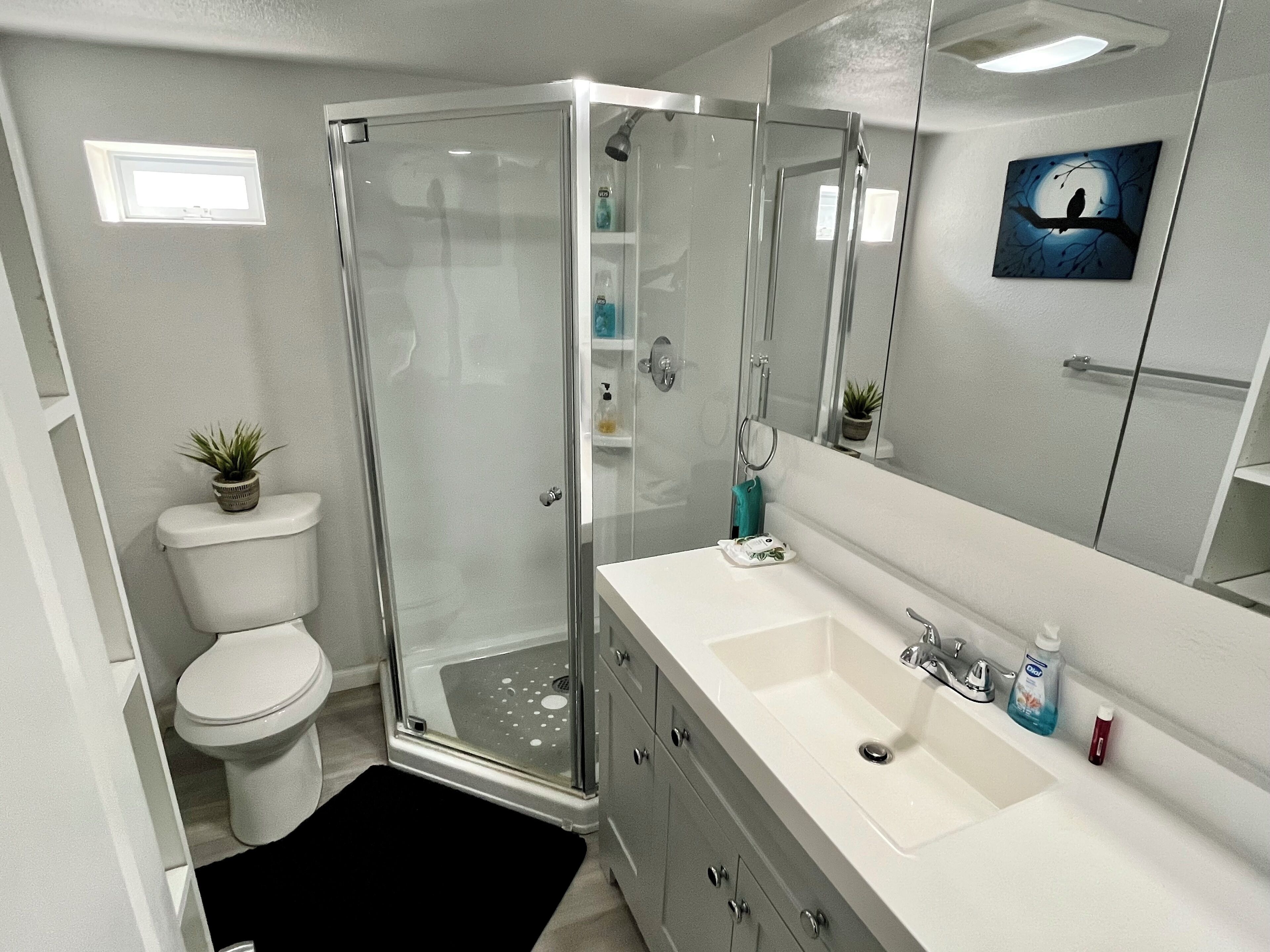 Towels, soap, toilet paper