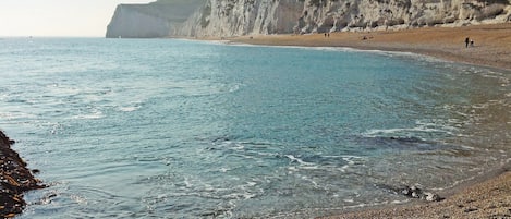Vissen