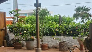A covered patio area with potted plants, a dog, and a stone wall. - Charming 2-bedroom house with WiFi, AC in Dibulla, ocean view. (Dibulla)