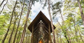 A wooden cabin structure surrounded by tall trees in a forest.
