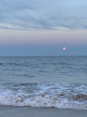 Plage, chaises longues