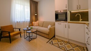 Espai vital reduït amb un sofà, una taula petita, una cadira, una zona de cuina amb rentavaixelles i forn, i una catifes amb disseny.