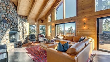 TV, fireplace, books