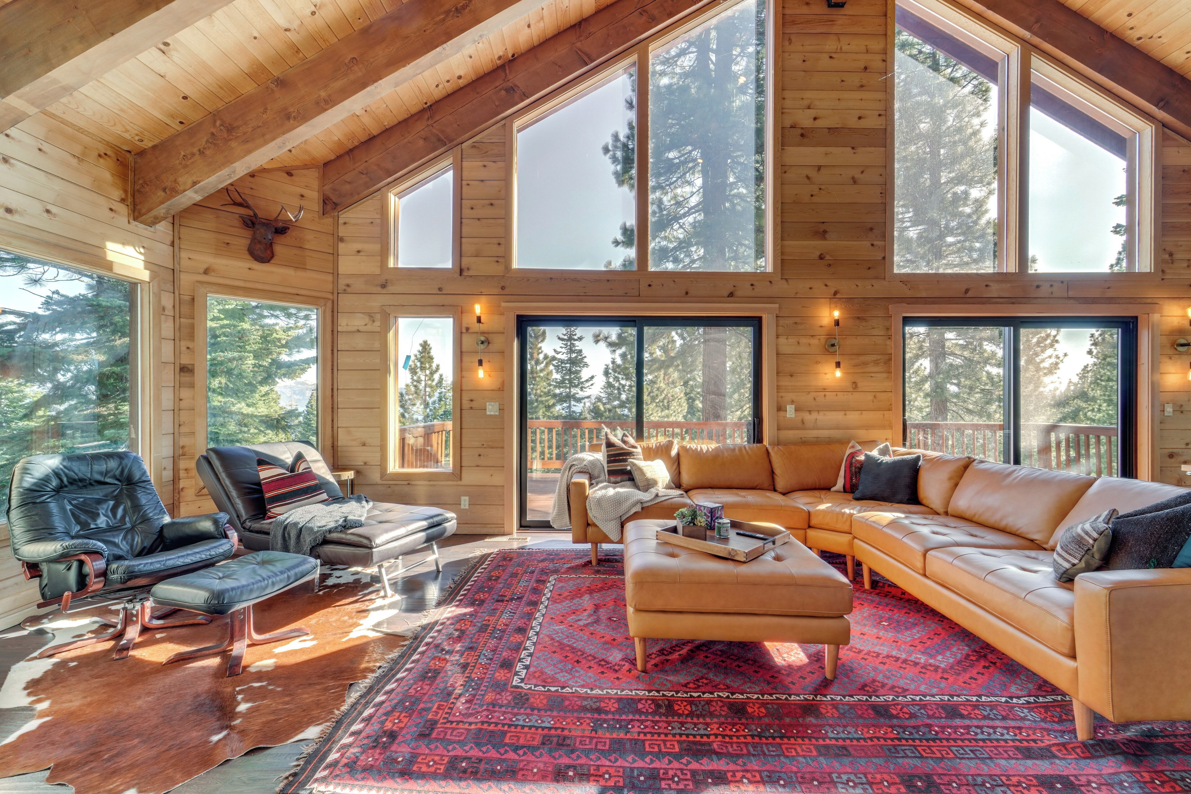 TV, fireplace, books