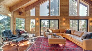 TV, fireplace, books