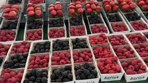 A market stall with fresh strawberries and blackberries in white boxes labeled 'GAYTON FAMILY FARM'. - Charming 1-bedroom Casita in gated Duna La Quinta. Walk to Old Town & LQ Resort (La Quinta)