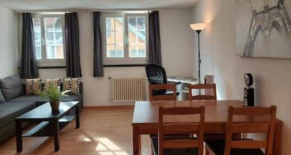 Charming 2-bedroom apartment with WiFi in St. Gallen
